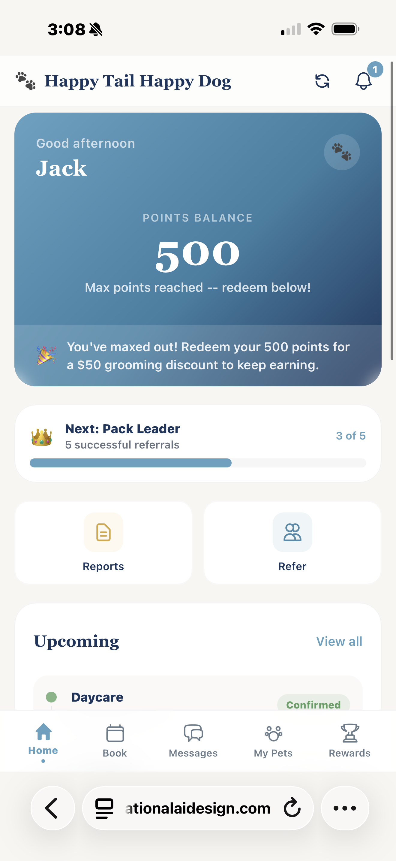 Customer dashboard showing 500 loyalty points balance and upcoming daycare booking