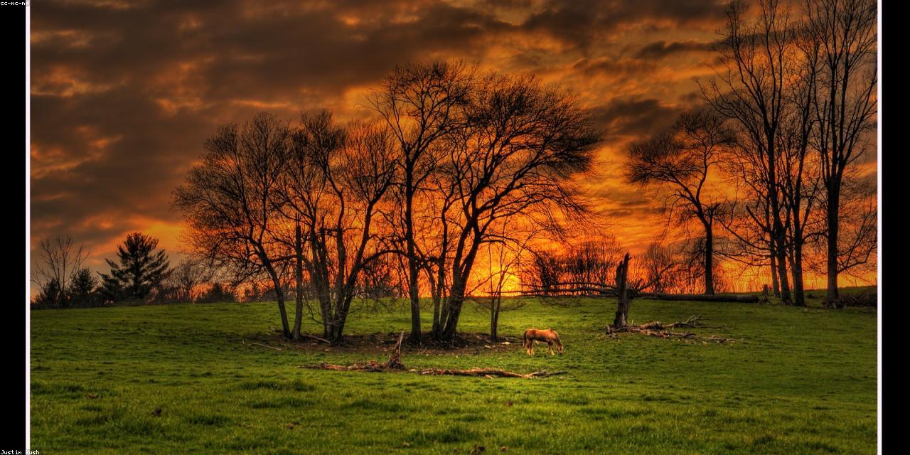 A pasture at sunset